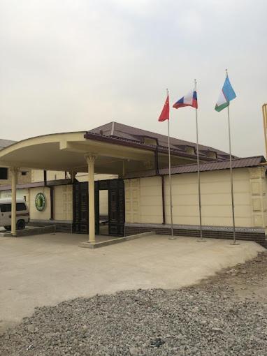 Green Apple Guest House Tashkent Bagian luar foto